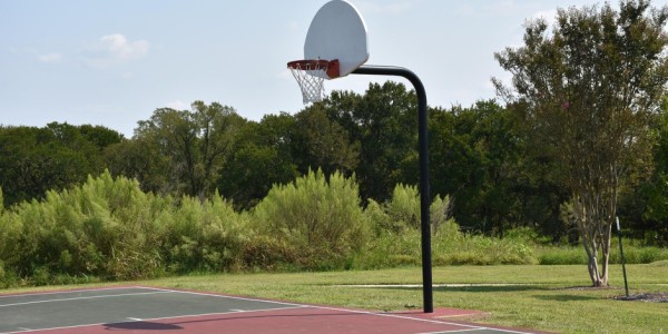 CBA签约交易最新情况汇总！交易签约尘埃落定，谁将成为新赛季黑马？